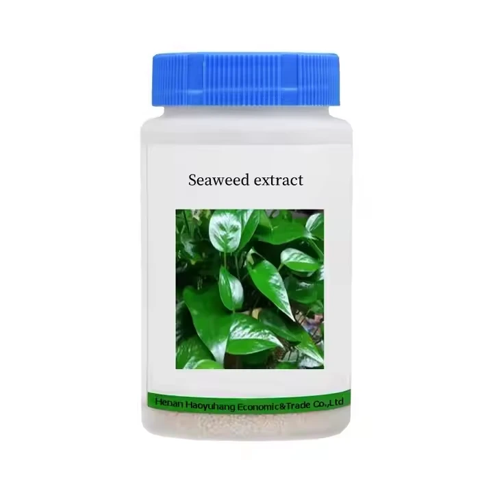 Seaweed Extract