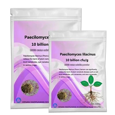 Paecilomyces Lilacinus Targeted Root Knot Nematodes Fungi Treatment