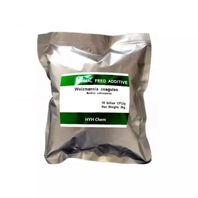 Excellent Probiotic Feed Additive Bacillus Coagulans10 Billion With Best Price